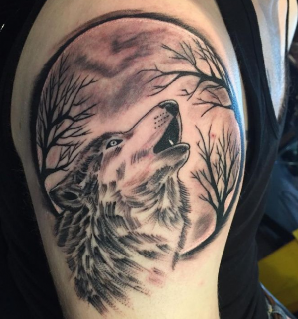 Serigala Menyaring Bulan